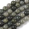 Natural Green Rutilated Quartz Beads Strands G-P325-03-10mm-2