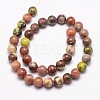 Natural Plum Blossom Jasper Beads Strands X-G-A163-02-8mm-2