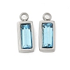 304 Stainless Steel Charm STAS-L022-242P-12-1