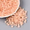 FGB Frosted Transparent Glass Seed Beads SEED-N013-03A-03-1