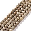 Natural Maifanite/Maifan Stone Beads Strands G-I187-4mm-01-1