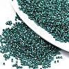 FGB 11/0 Grade A Glass Seed Beads SEED-S030-1216-1