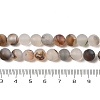 Natural Dendritic Agate Beads Strands G-A248-A04-02-5