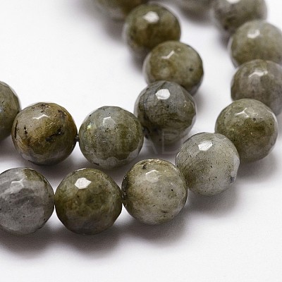 Natural Labradorite Beads Strands G-G736-04-10mm-1