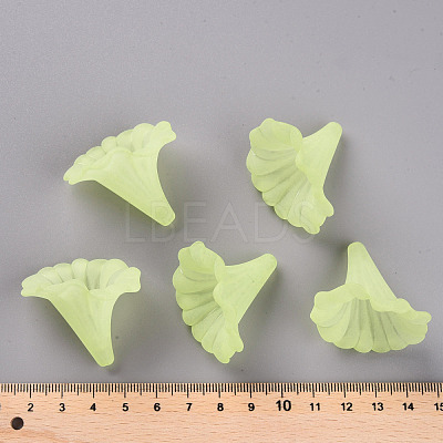 Transparent Acrylic Beads BSF796-C17-1