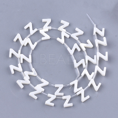 Natural Freshwater Shell Beads SHEL-T012-59Z-1