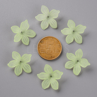 Frosted Acrylic Bead Caps MACR-S371-05A-728-1
