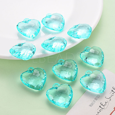 Transparent Acrylic Pendants LS-TACR-T024-03B-946-1
