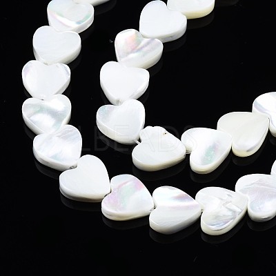 Natural Trochid Shell/Trochus Shell Beads Strands SSHEL-N034-99B-B01-1