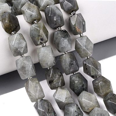 Natural Labradorite Beads Strands G-Q608-11E-1