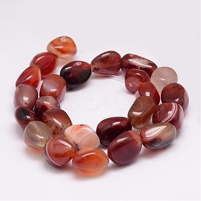 Natural Carnelian Bead Strands G-K153-D09-1