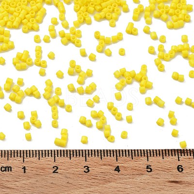 Baking Paint Glass Seed Beads X-SEED-S042-05B-81-1