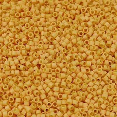 MIYUKI Delica Beads SEED-J020-DB2285-1