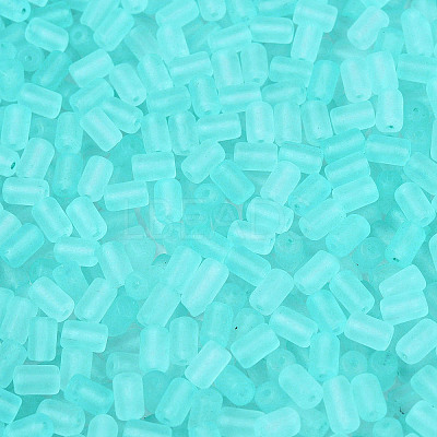 FGB Frosted Transparent Glass Seed Beads SEED-N013-05A-10-1