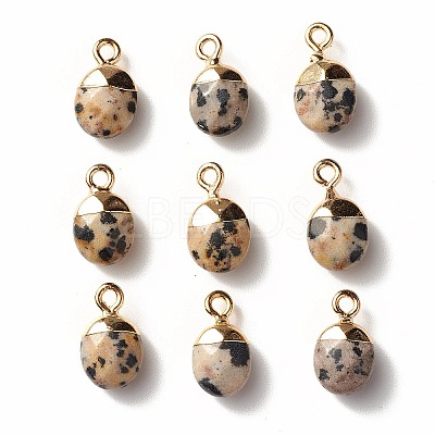 Electroplate Natural Dalmatian Jasper Charms G-S344-09C-1