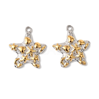 304 Stainless Steel Pendants STAS-Z145-02GP-02-1