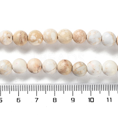 Dyed Natural Regalite/Imperial Jasper/Sea Sediment Jasper Beads Strands X-G-B124-C01-17-1