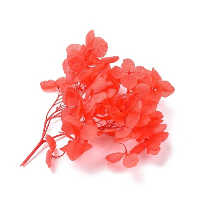 Dried Flowers DIY-D052-17-1