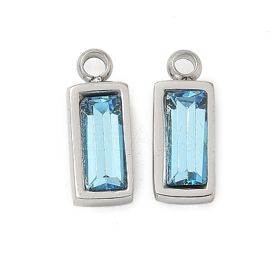 304 Stainless Steel Charm STAS-L022-242P-12-1