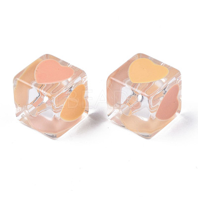 Transparent Acrylic Beads TACR-T004-10E-1