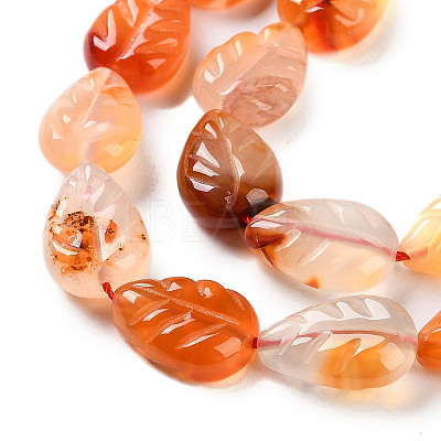 Natural Agate Carved Beads Strands G-H024-B01-01-1