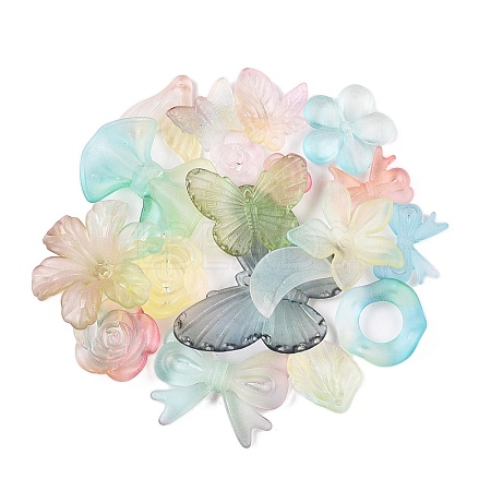 Transparent Acrylic Beads OACR-H039-04H-1
