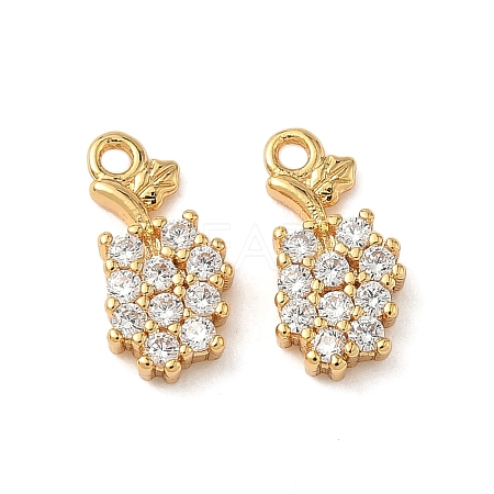 Brass Micro Pave Clear Cubic Zirconia Charms KK-B160-33G-1
