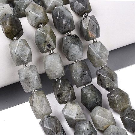 Natural Labradorite Beads Strands G-Q608-11E-1