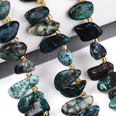 Natural Chrysocolla Beads Strands G-Z091-A46-1