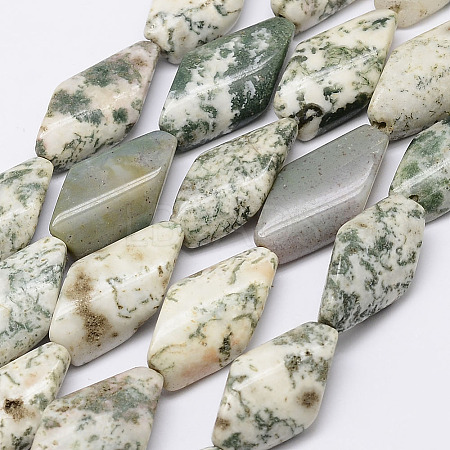 Natural Tree Agate Beads Strands G-E337-06-1