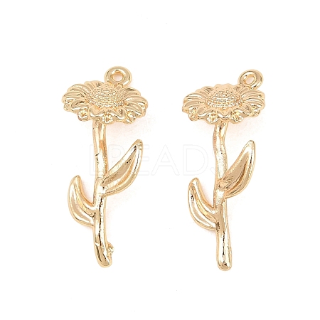 Brass Pendants KK-A288-01G-10-1