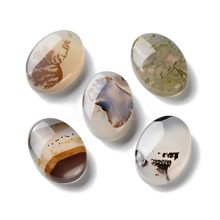 Natural Dendritic Agate Cabochons G-B138-01-1