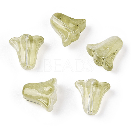 Spray Painted Transparent Glass Beads GLAA-D006-20E-1