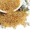 TOHO 8/0 Round Beads SEED-TR08-0022A-1