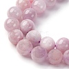 Natural Kunzite Beads Strands G-H313-01B-8mm-5