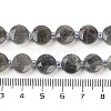 Natural Labradorite Beads Strands G-C116-A46-01-5