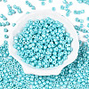 Baking Paint Pearlized Glass Seed Beads SEED-T008-03Q-2