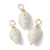 Spiral Shell Pendants PALLOY-JF02492-01-1