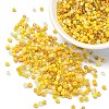 Opaque & Transparent Inside Colours Glass Seed Beads SEED-YW0002-17D-1