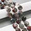 Natural African Bloodstone Beads Strands G-NH0004-040-2