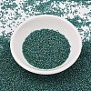 MIYUKI Delica Beads SEED-J020-DB2381-2