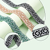 3 Colors Ethnic Style Embroidery Polyester Ribbons SRIB-WR0001-02-4