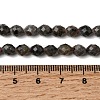 Natural Syenite Beads Strands G-K376-F09-01-5