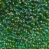 6/0 Inside Colours Fringe Glass Seed Beads SEED-A034-03G-3