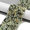 Natural Prehnite Beads Strands G-B088-E16-04-2