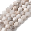 Natural Crazy Agate Beads Strands G-Z119-A12-02-2
