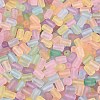 FGB Frosted Transparent Glass Seed Beads SEED-N013-05A-3