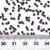 Electroplate Glass Seed Beads X-SEED-S042-01B-01-4