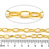 Iron Paperclip Chains CH-R025-10x5mm-G-2