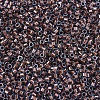 MIYUKI Delica Beads SEED-X0054-DB1706-3